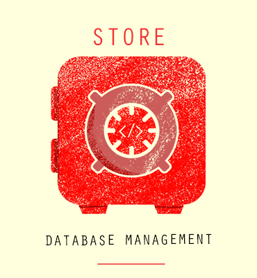 Database Management Service