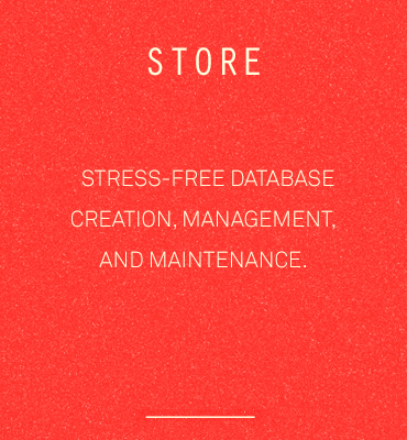 Database Management Service